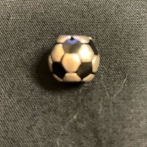 Pandora charm